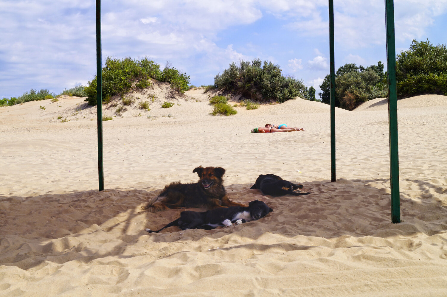 Photo #13876422