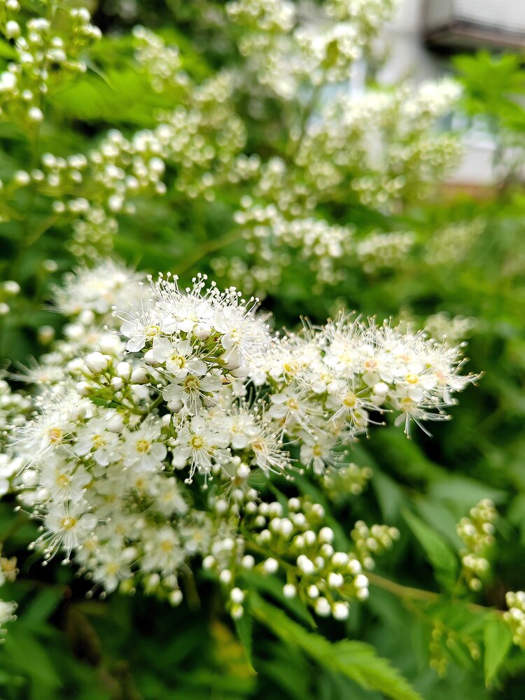 Photograph by Оксана Лобанова