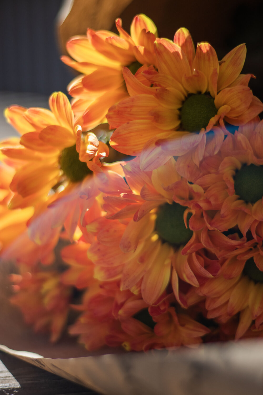 Photo #13876494