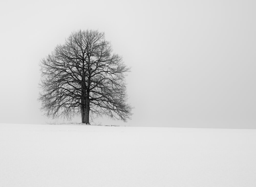 Photograph by Pussa Vitaly