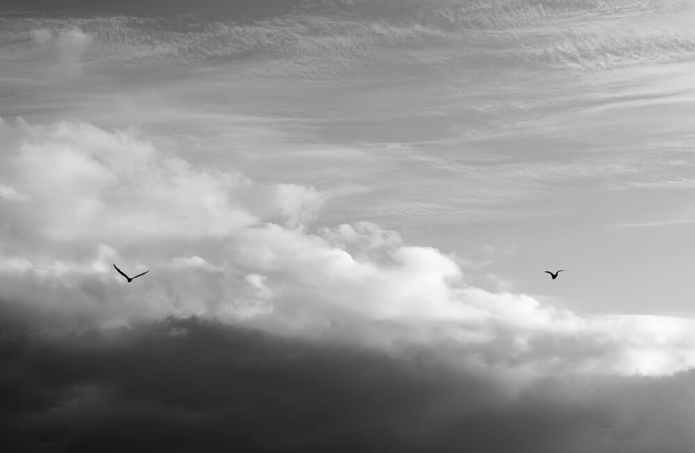 Photograph by Cristall Venter