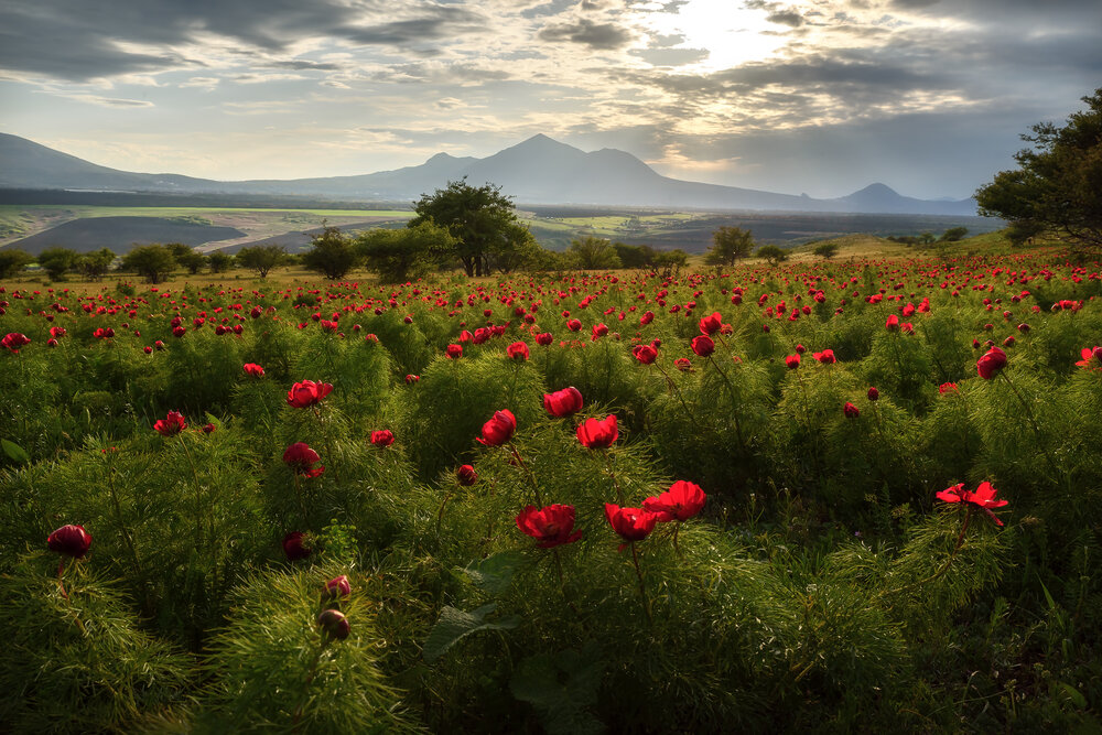 Photograph by Zakharov Armen