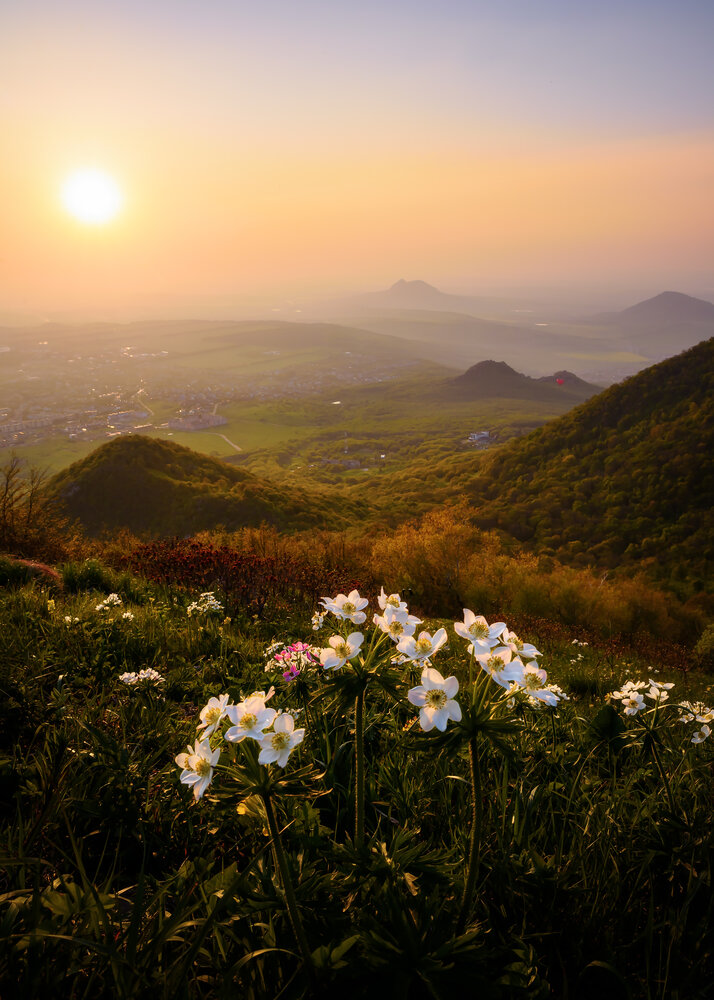 Photograph by Zakharov Armen