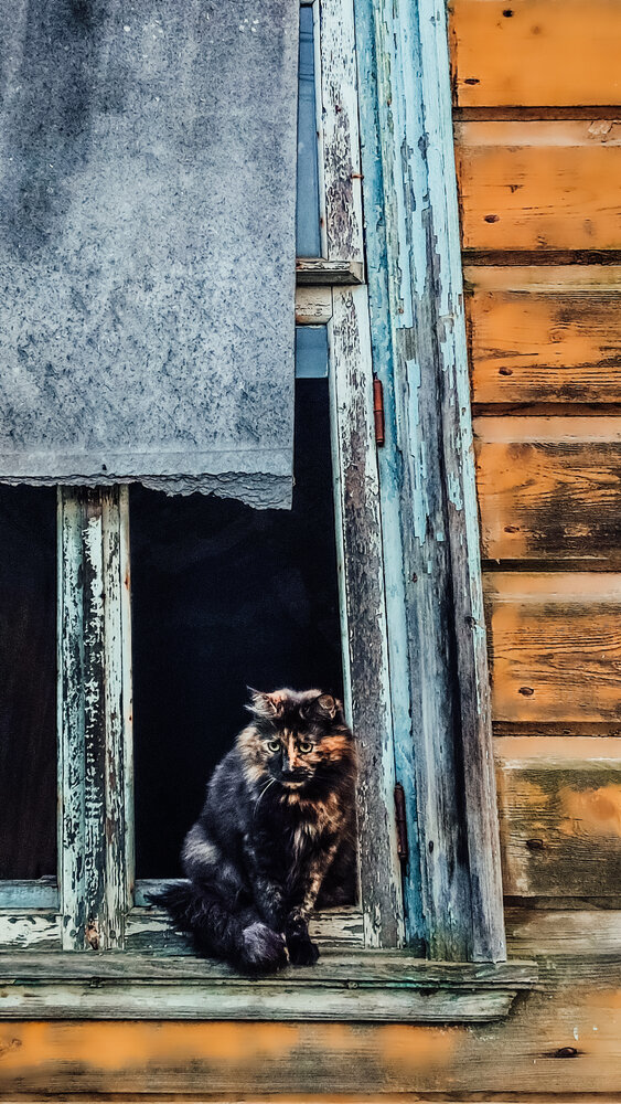 Photograph by Людмила Сергеева