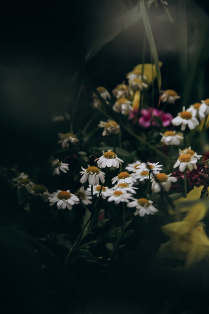 Photograph by Алиса Исаева