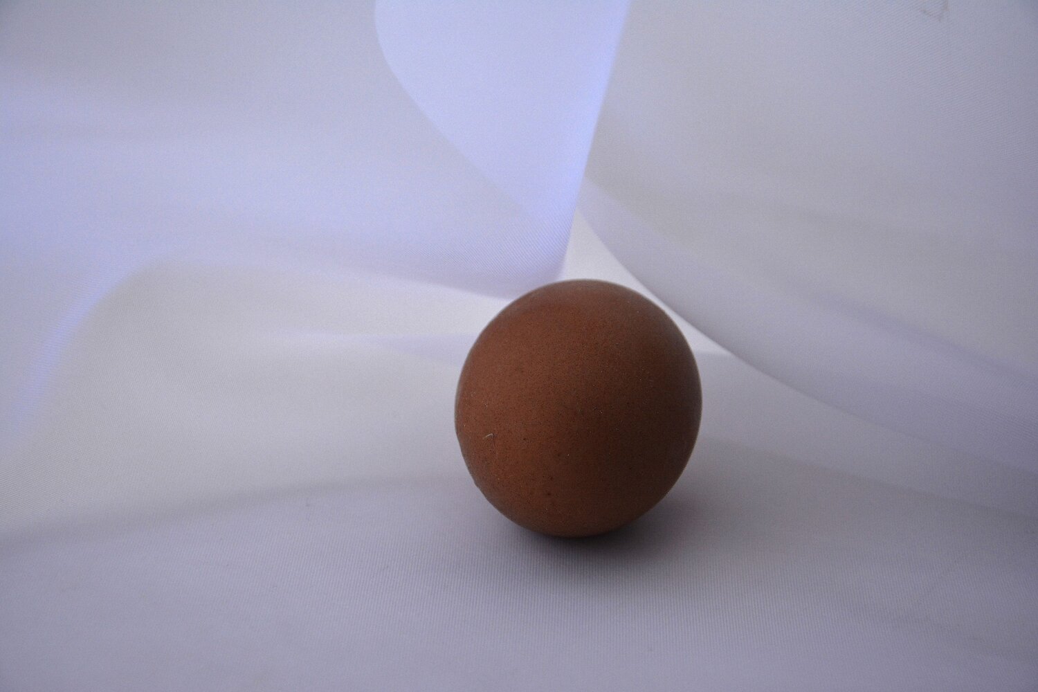 Photo #13876736