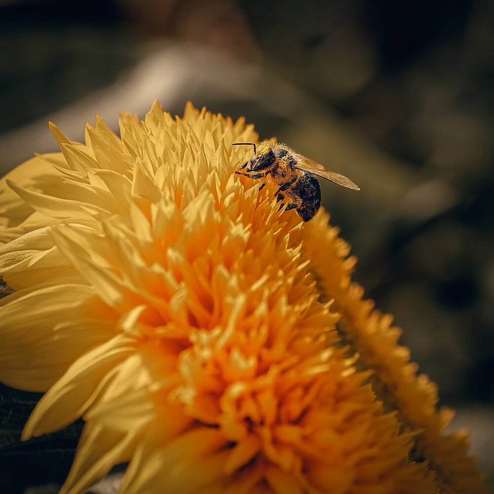 Photograph by Айдар Ибрагимов