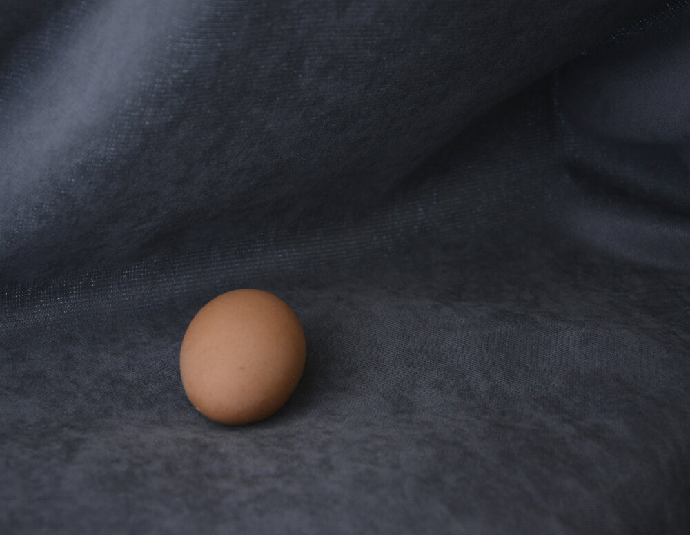 Photograph by Елена Курочкина