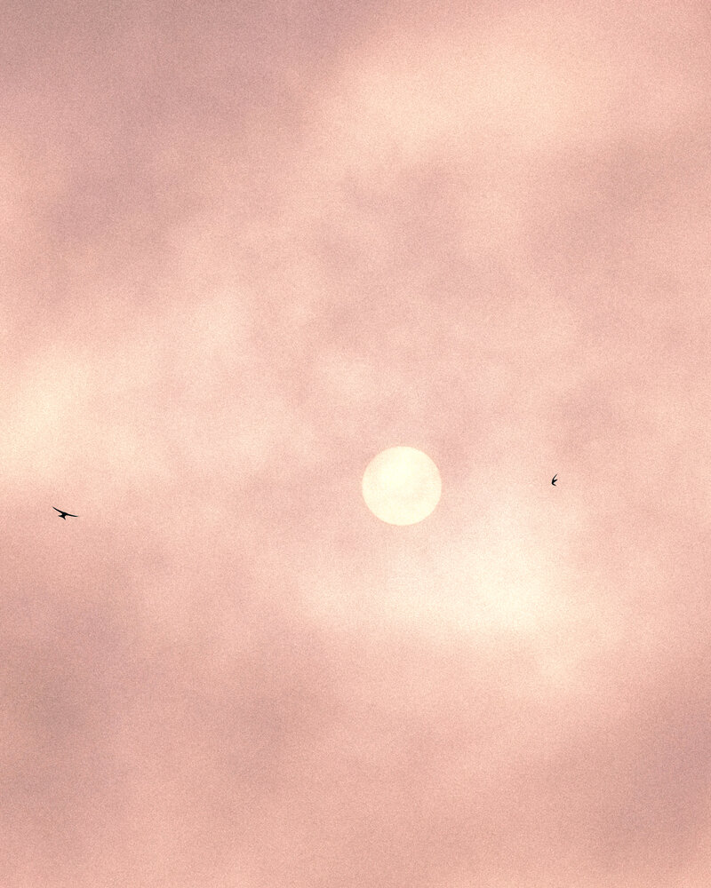 Harmony of flight