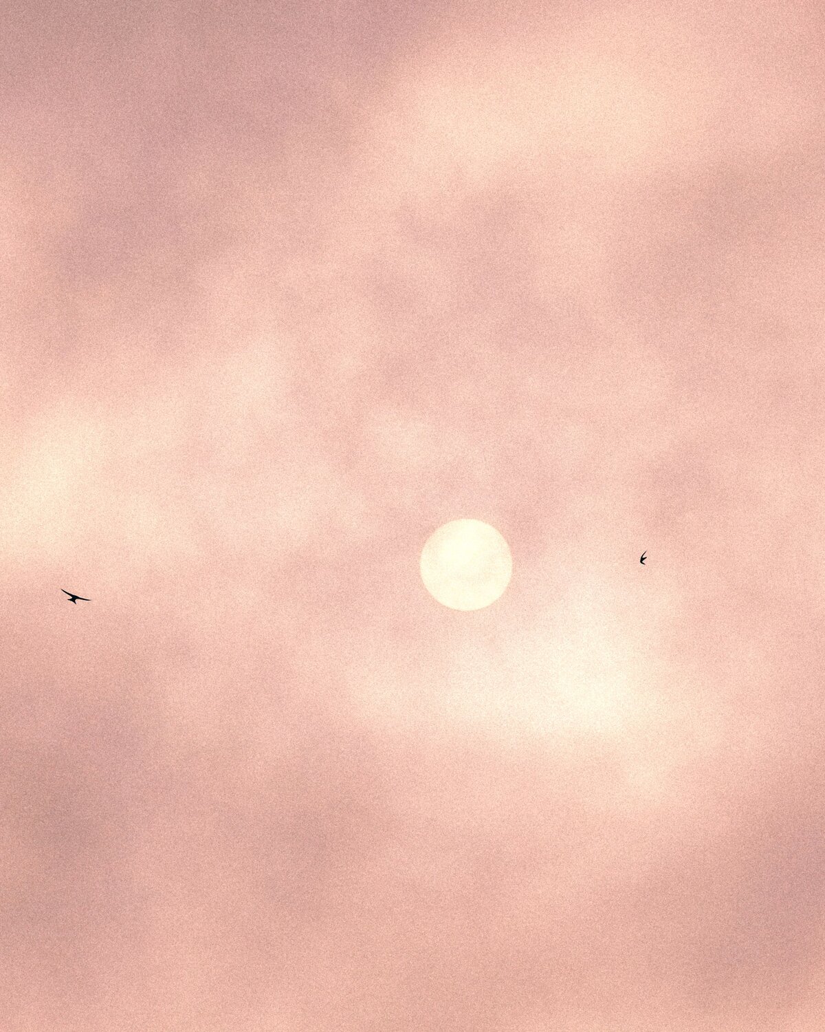 Harmony of flight