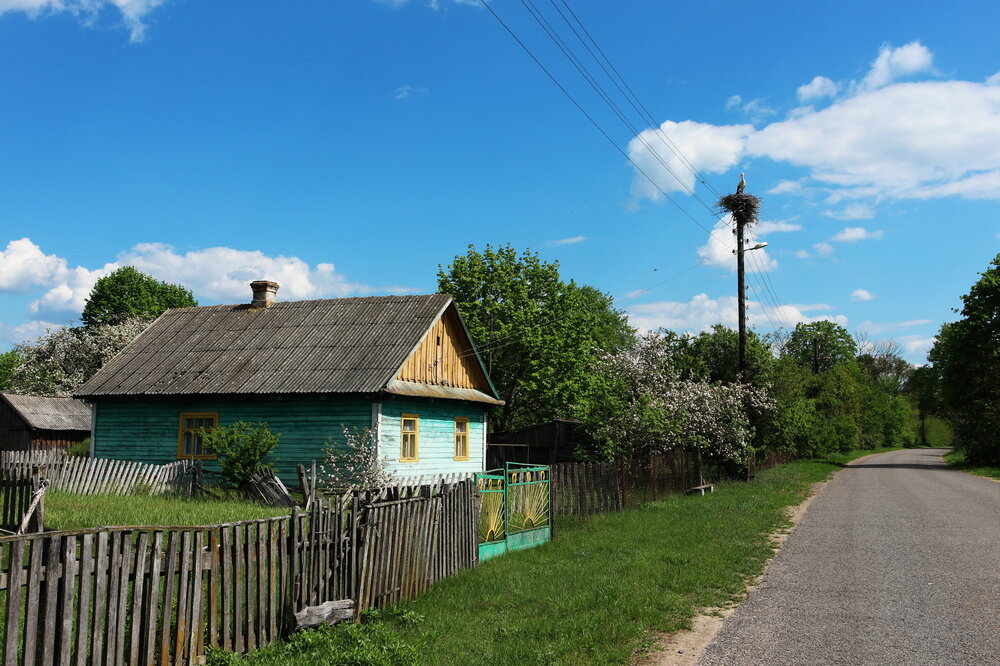 Фотография автора Ольга Панасюк