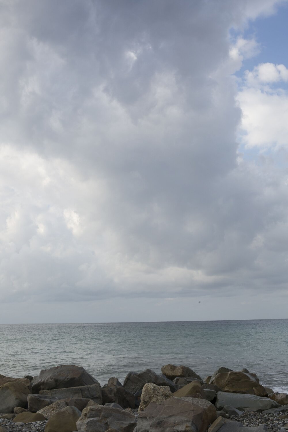 Photo #13876813