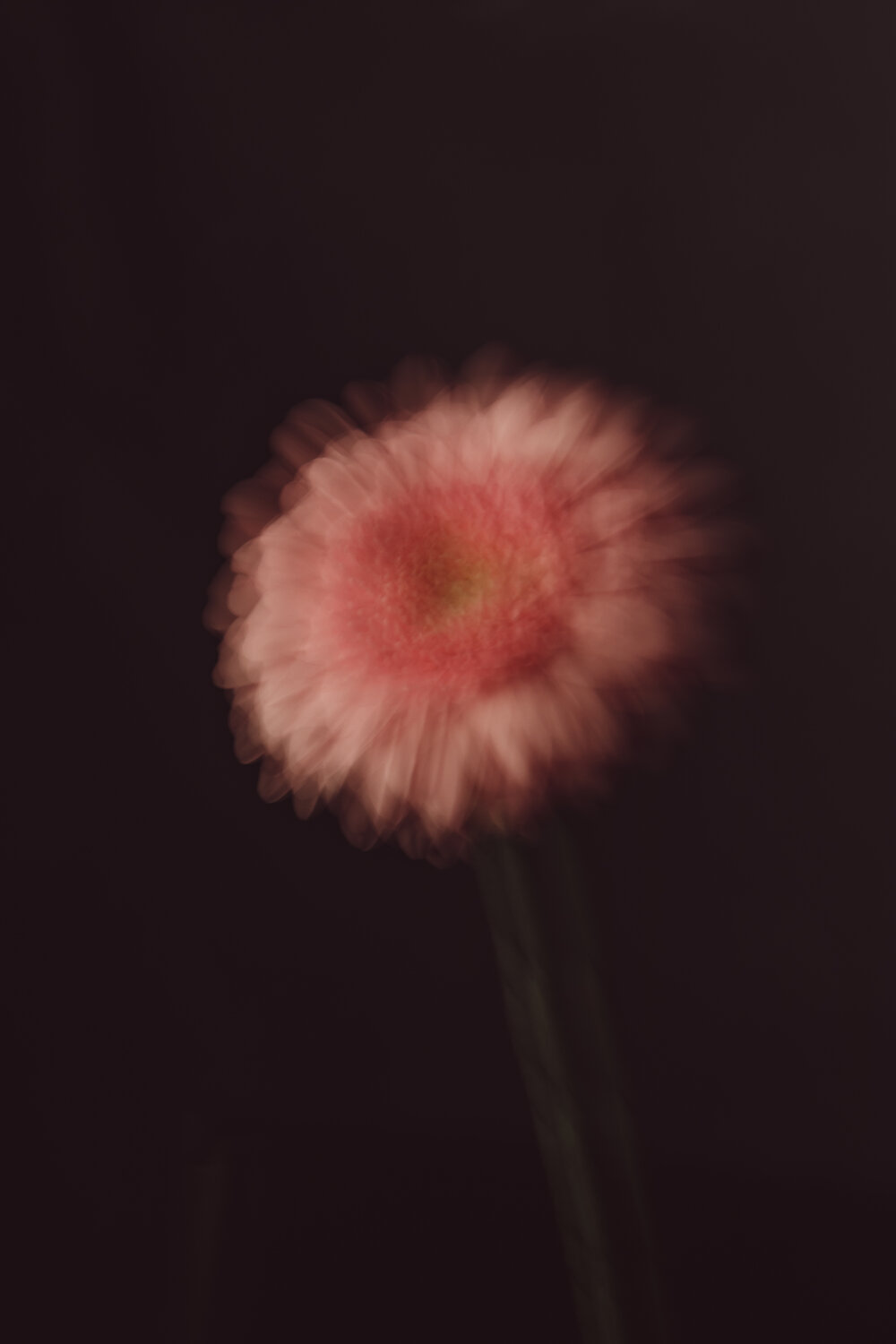Photo #13876845