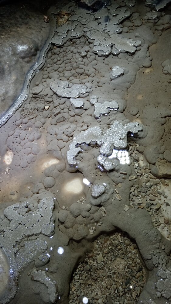 Photo #13876879
