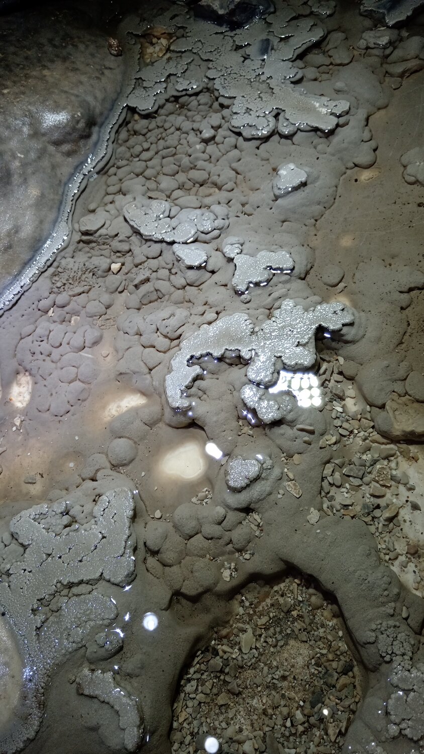 Photo #13876879