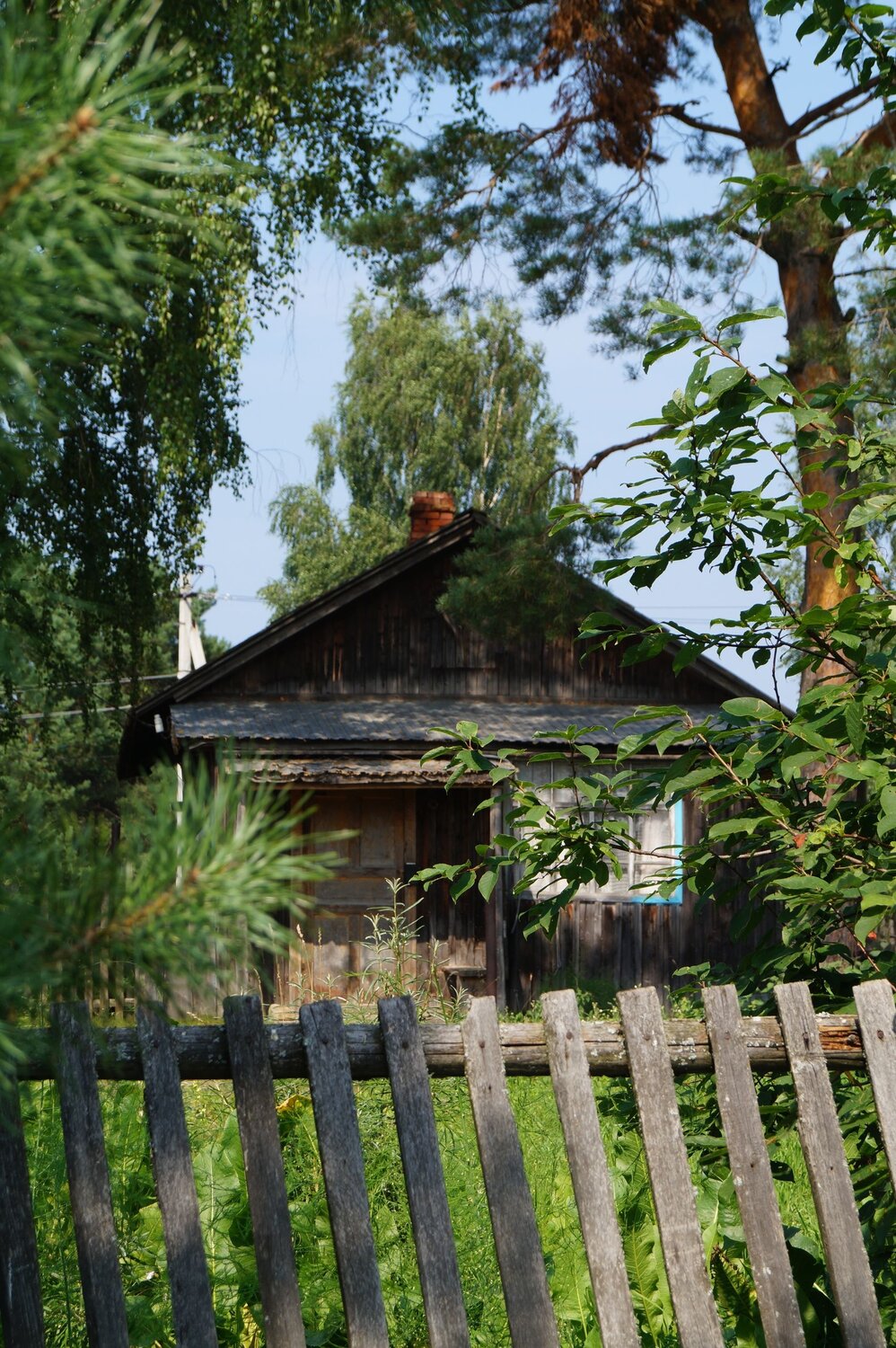 Photo #13876884