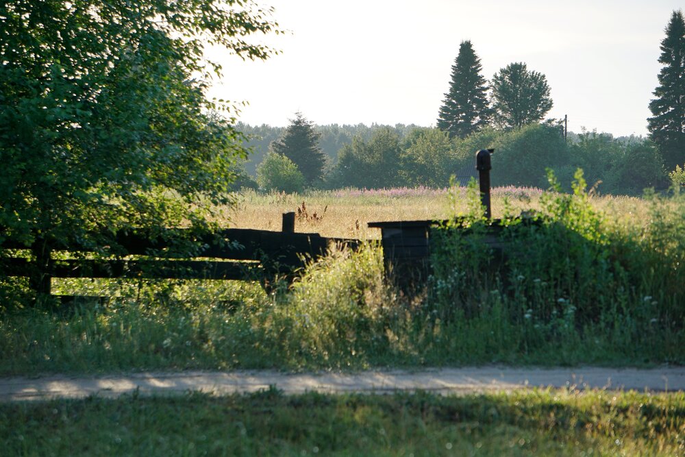 Photograph by Olga