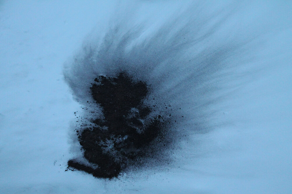 Photograph by Алла Бойко