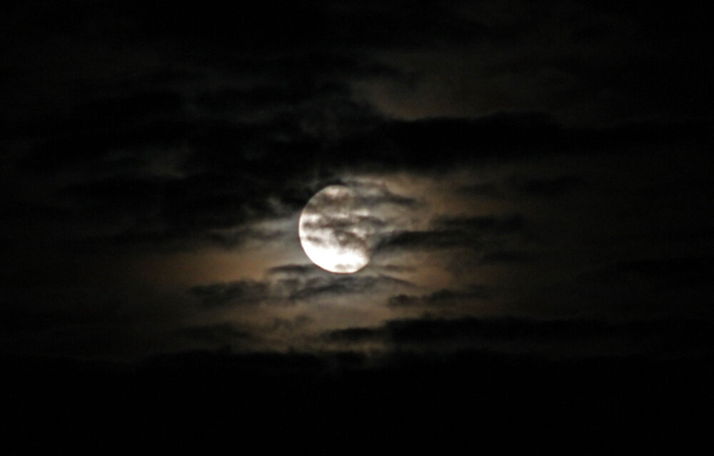 Photograph by Алла Бойко