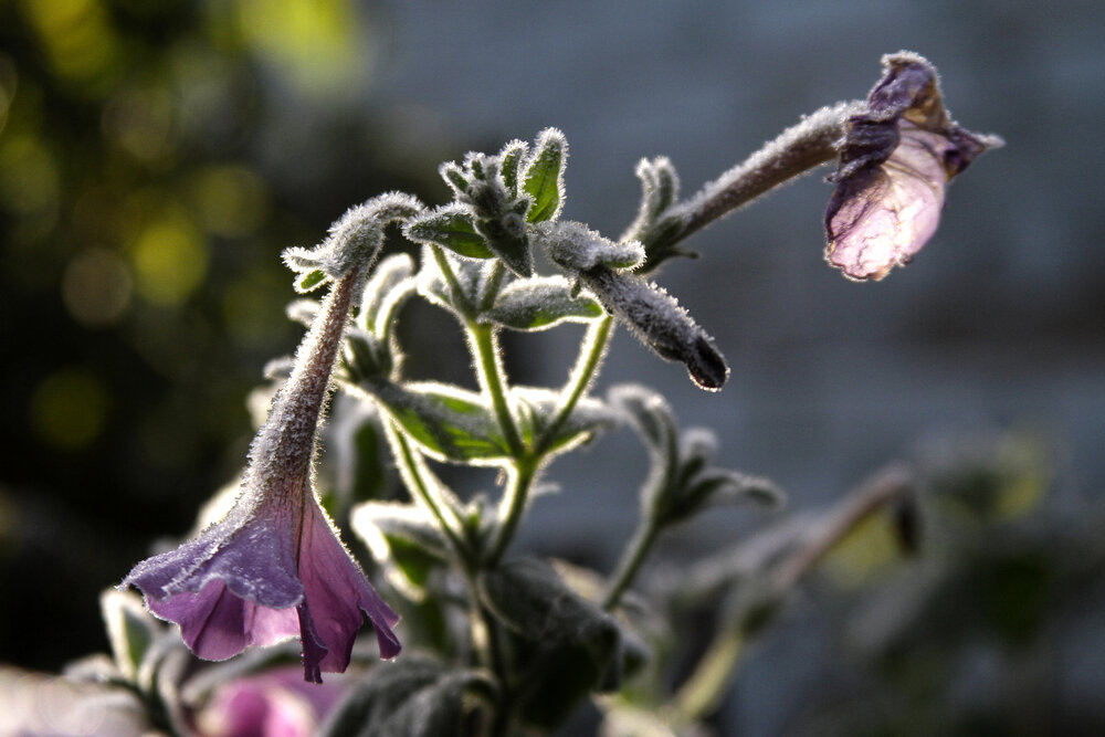 Photograph by Евгения Емельянова