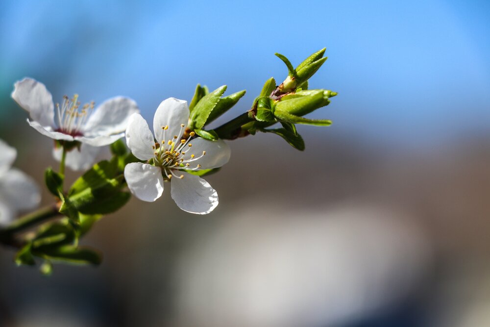 Photograph by Полинка Крылова