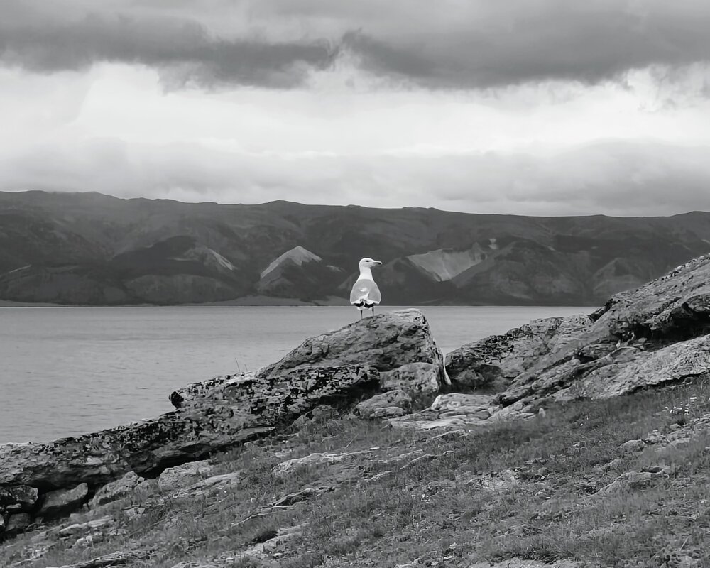 Photograph by Ольга Рыбина