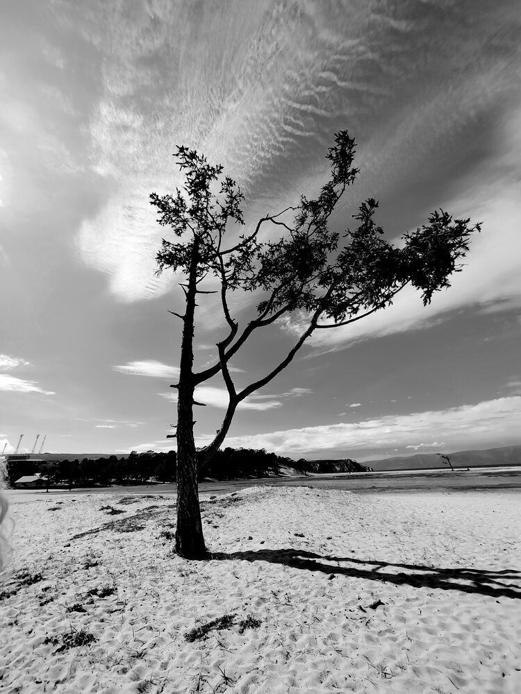 Photograph by Ольга Рыбина
