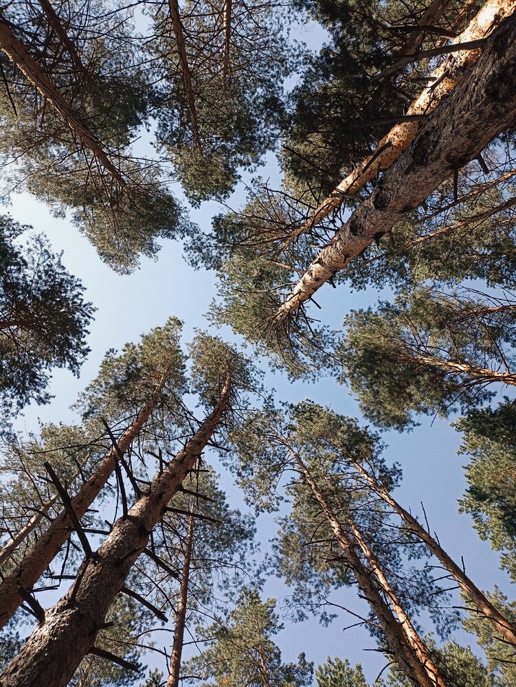 Photograph by Альфия Агзами