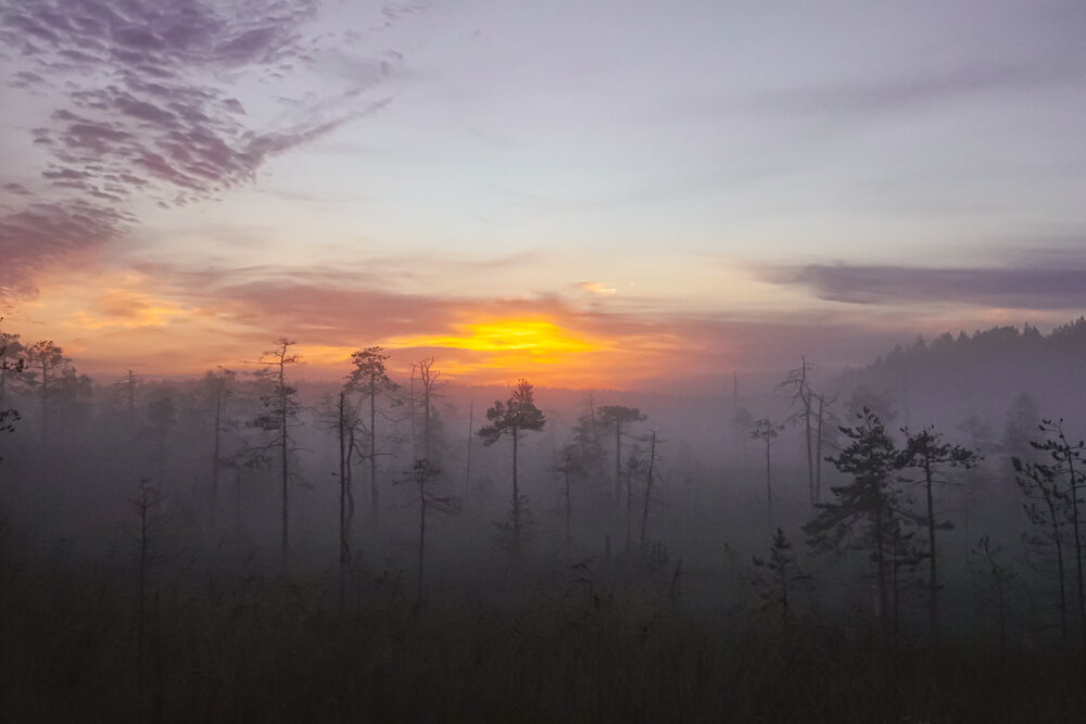 Photograph by Светлана Каравайская
