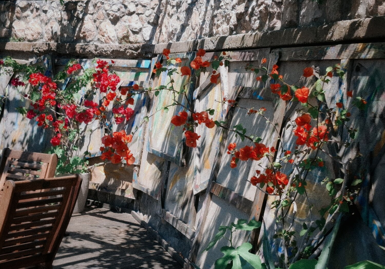 Photo #13877186