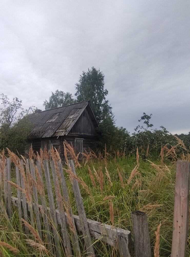 Фотография автора Васильева Ирина