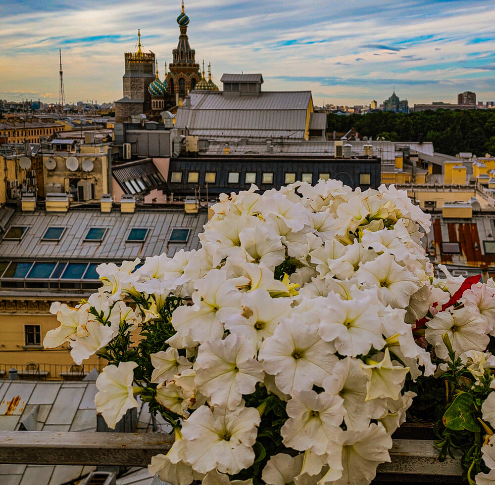 Photograph by Дайана