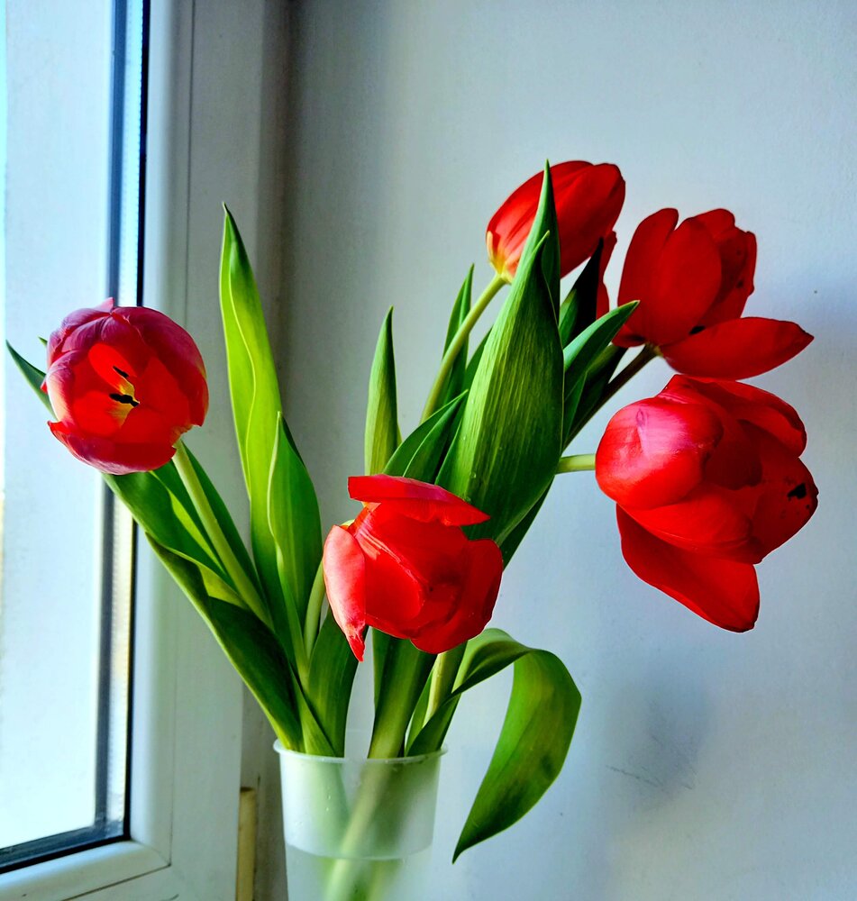 Photograph by Ольга Юрченко