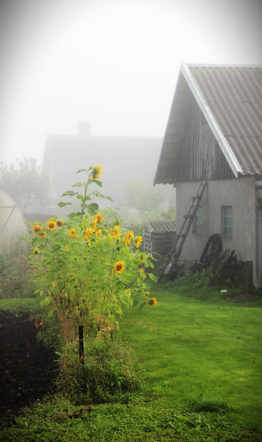 Photo #13877281