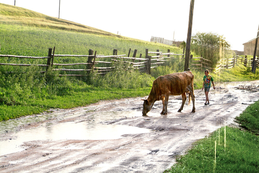 Photograph by Игорь Николаевич