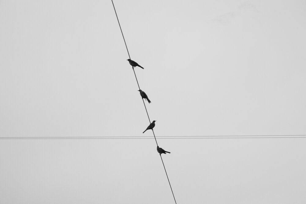 Photograph by Klepikov Rostislav