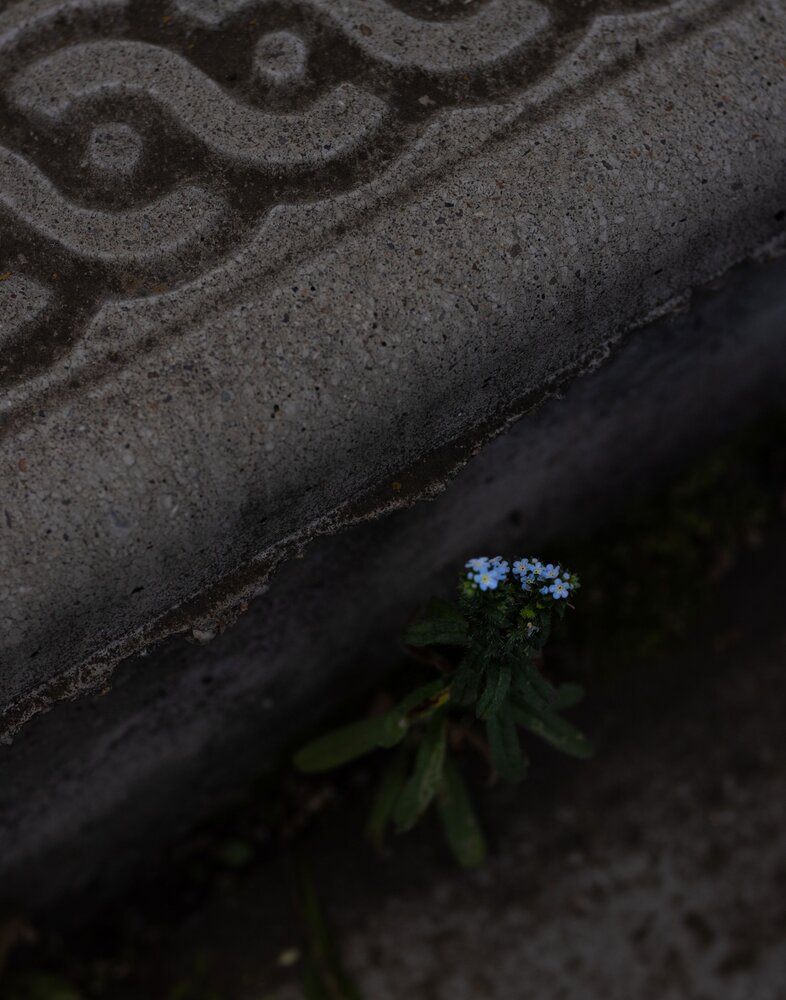 Photograph by Сергей Синягин