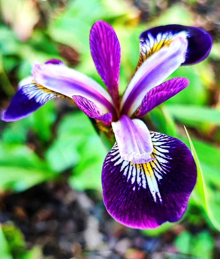 Photograph by Елена Юдина