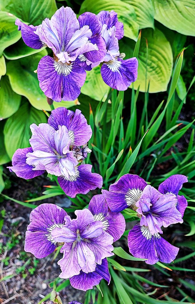 Photograph by Елена Юдина