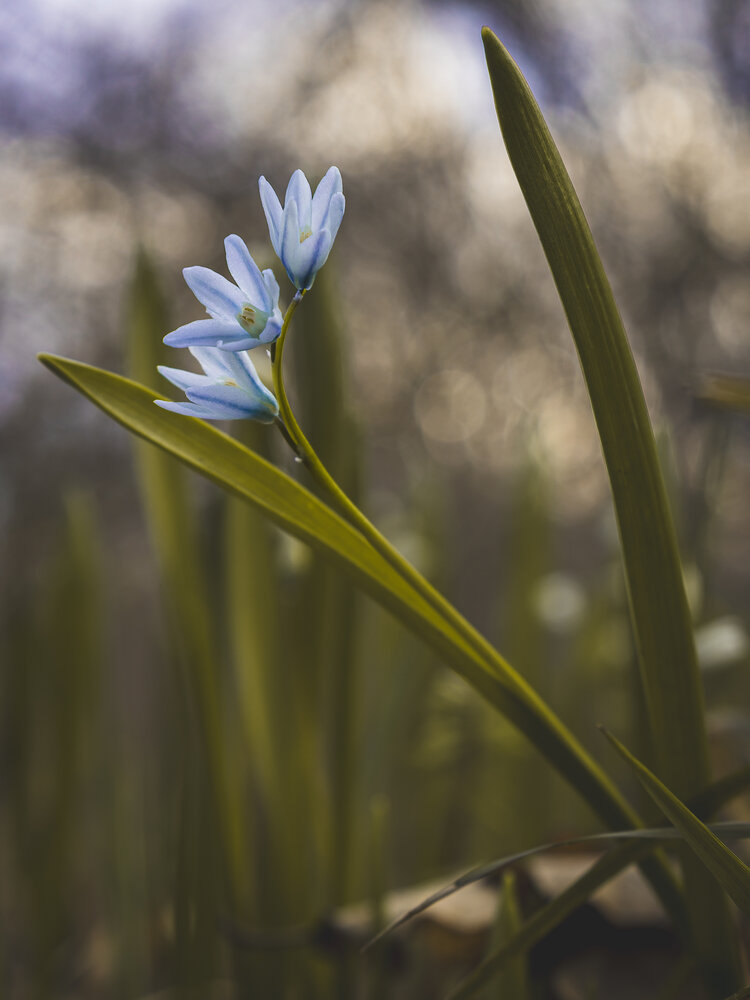 Photograph by Igor Maksimenko