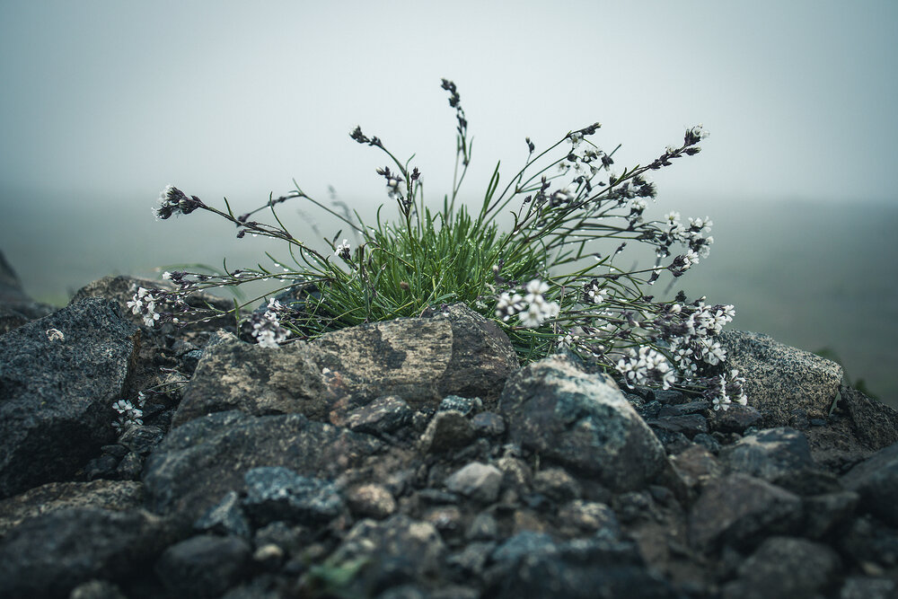 Photograph by Андрей Городецкий