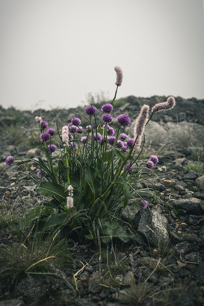 Photograph by Андрей Городецкий