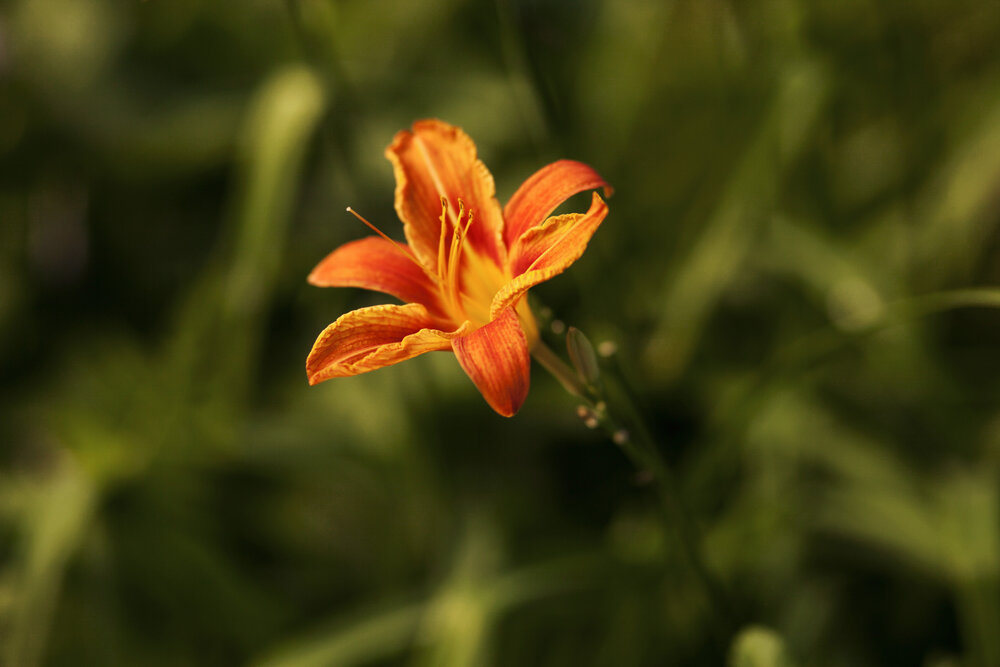 Photograph by Марина Киселева