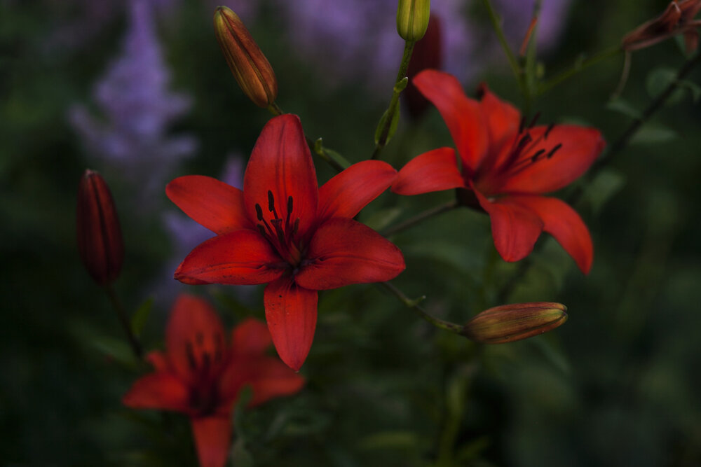 Photograph by Марина Киселева