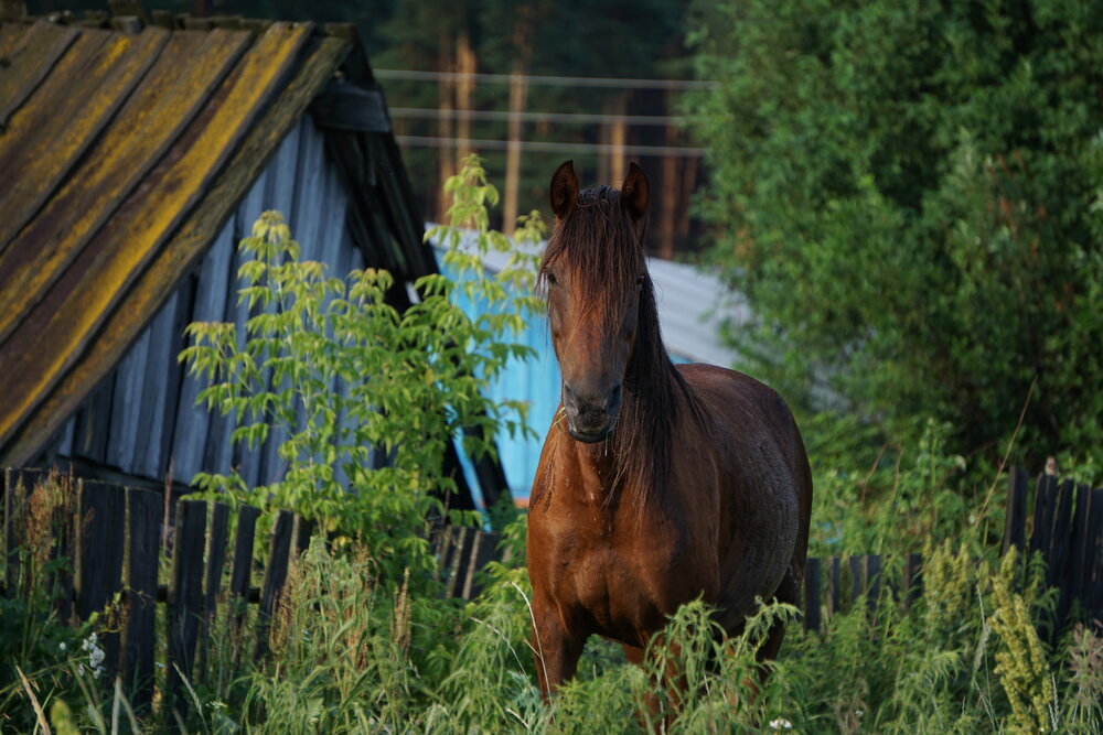 Photograph by Olga