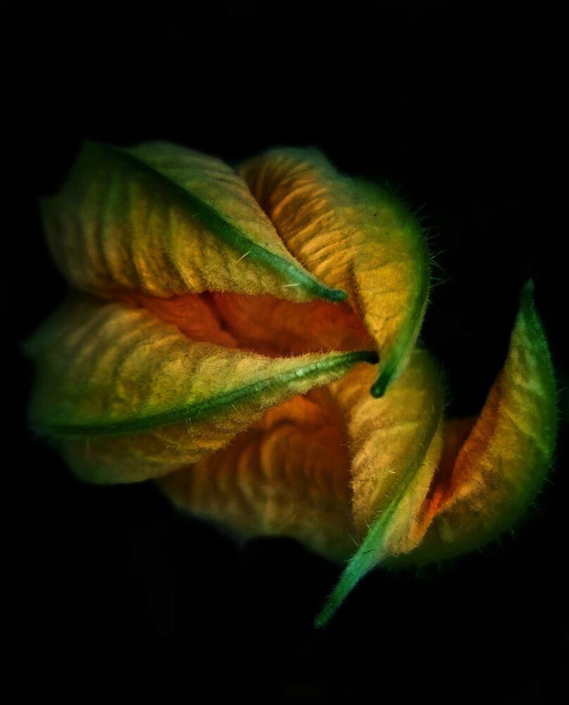 Photograph by Polina Svirida
