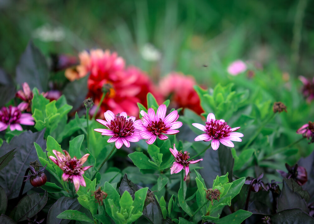 Photograph by Елена Болдырева