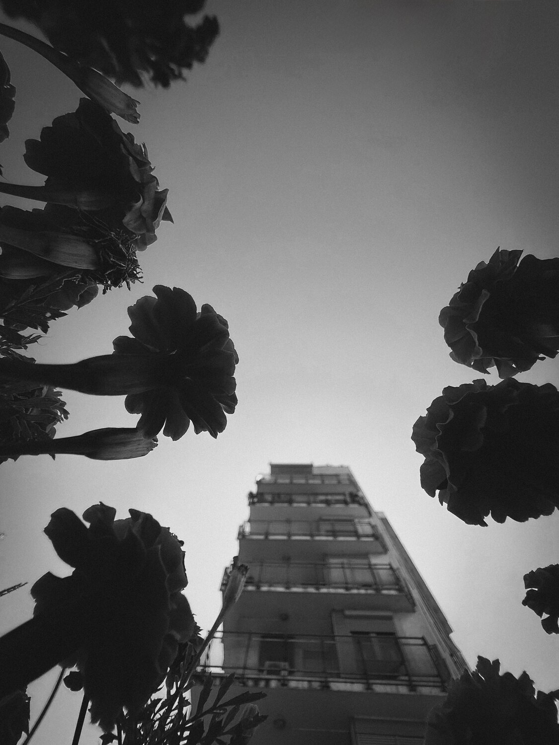 Photo #13877555
