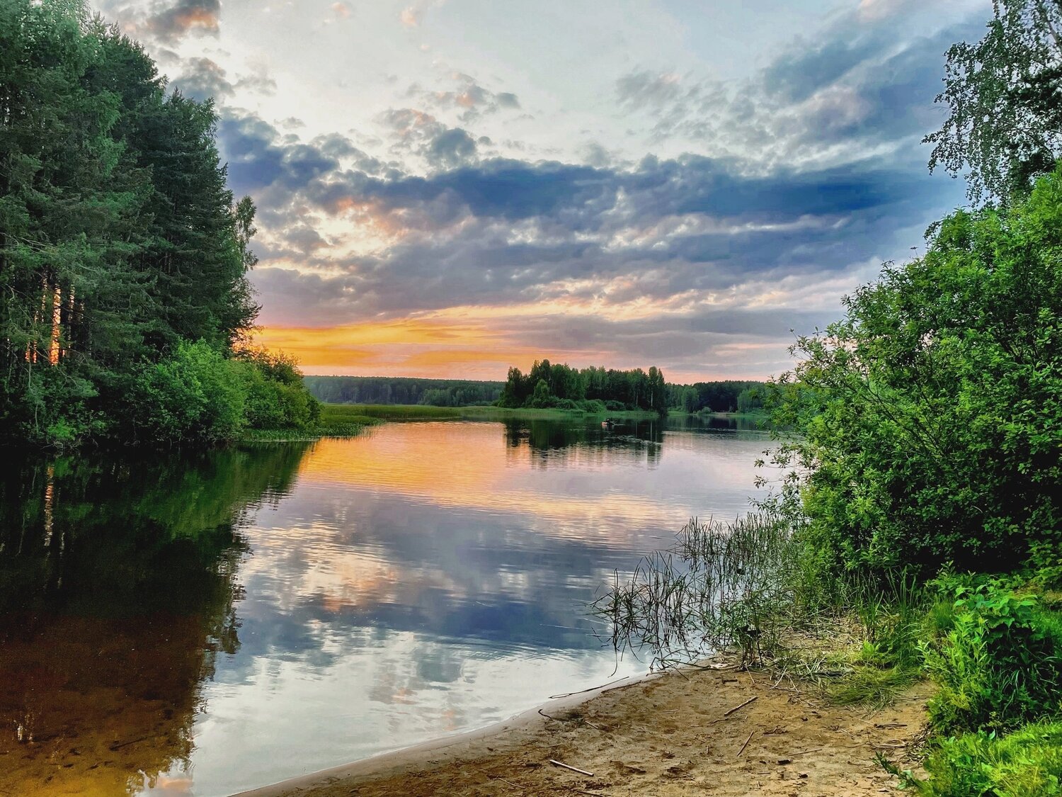 Photo #13877574