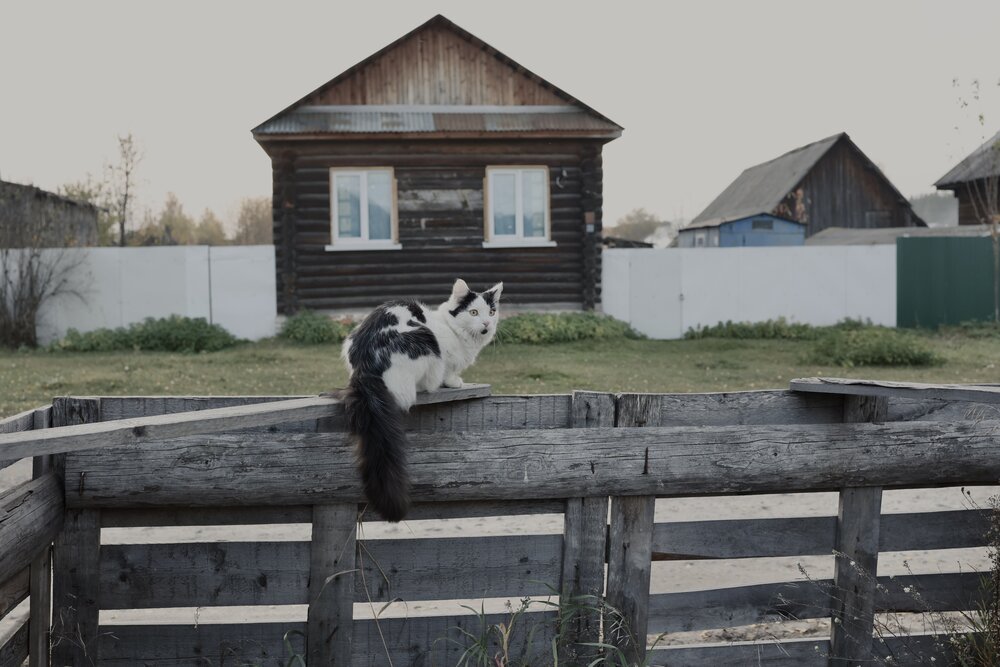 Photograph by Наталья Сафронова